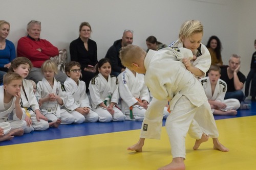 Judo & Braziliaanse Jiu Jitsu