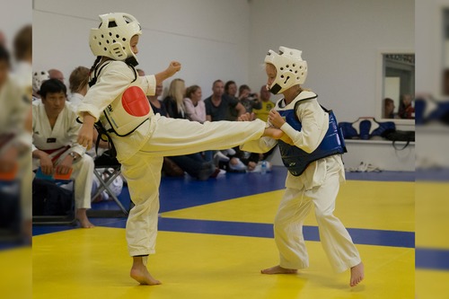 Karate & Taekwondo