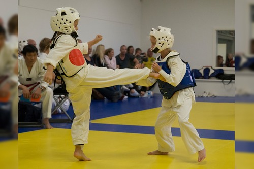 Taekwondo